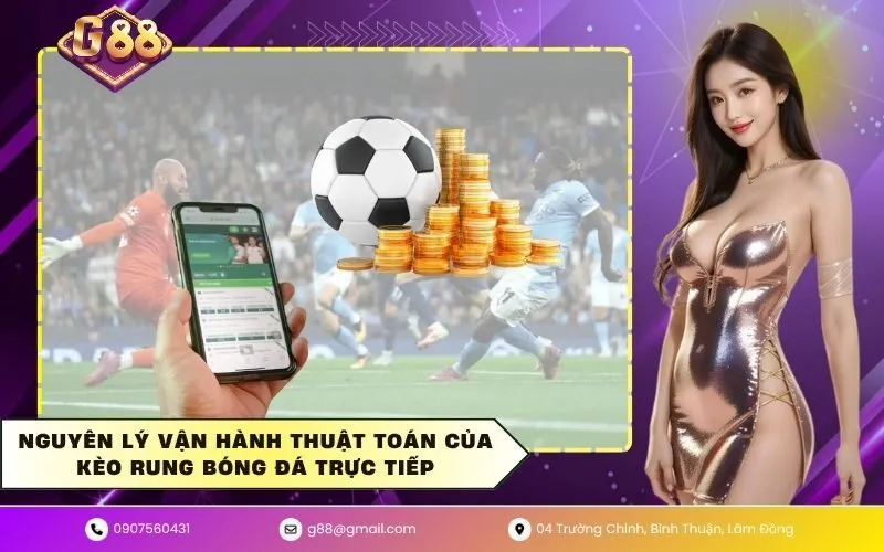 Nguyên lý vận hành thuật toán của kèo rung bóng đá trực tiếp
